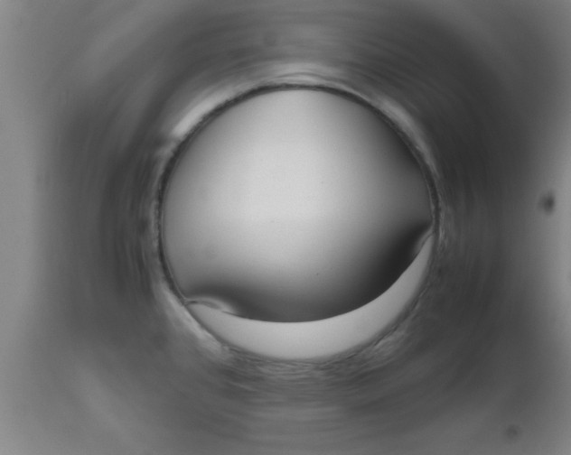 X0000112531384200909071347