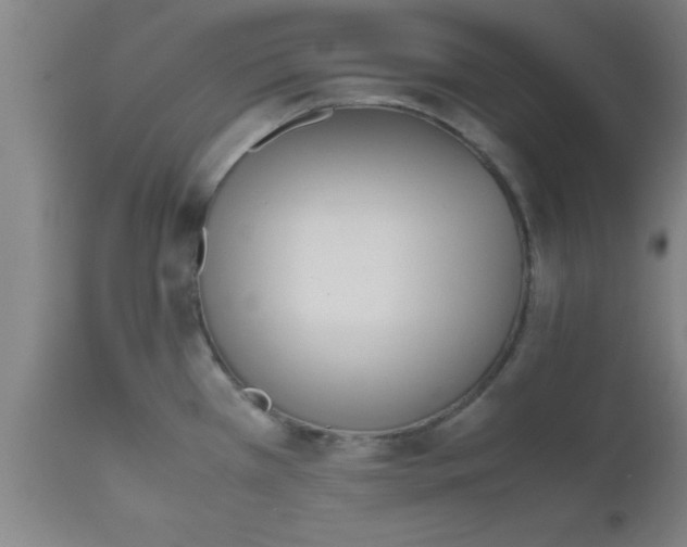 X0000112531385200909071347