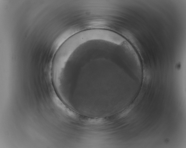 X0000112531386200909071347