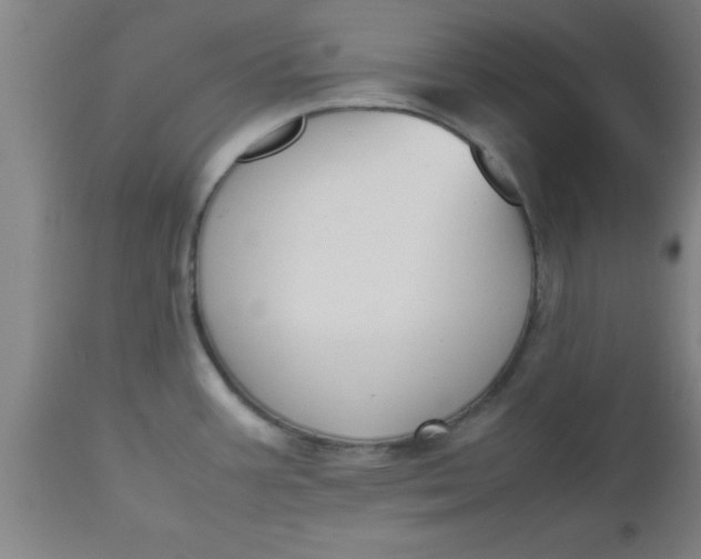 X0000112531387200909071347