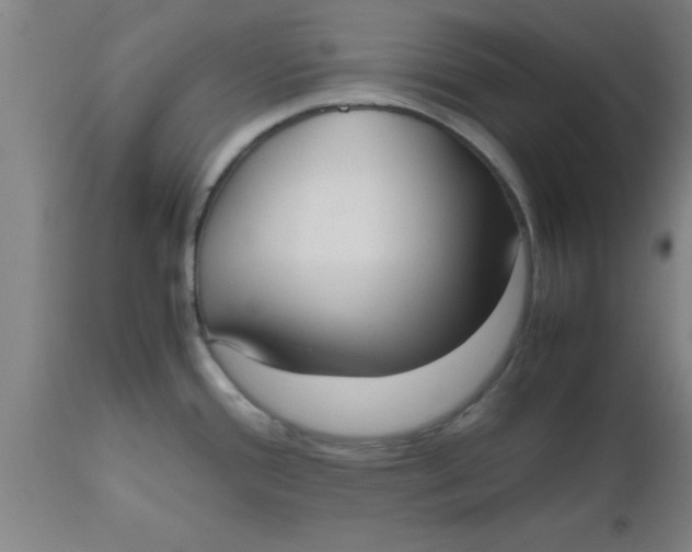 X0000112531388200909071347