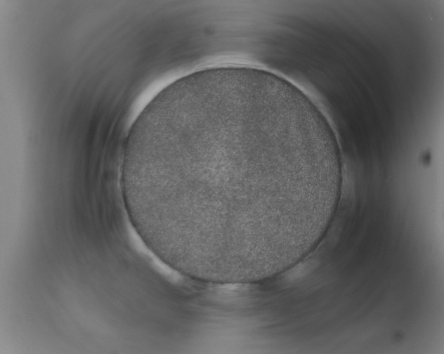 X0000112531390200909071347