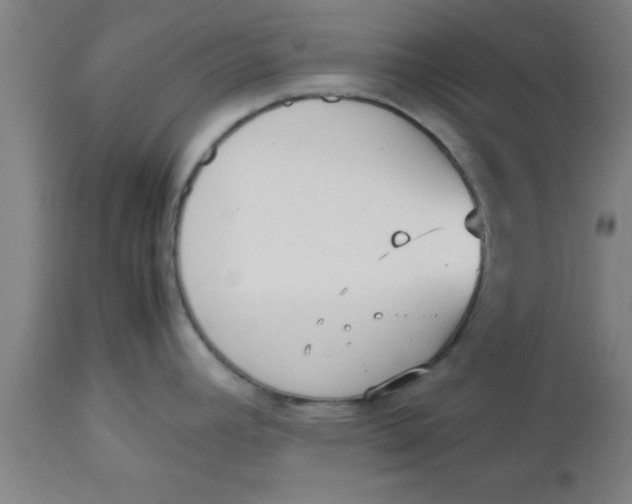 X0000112531392200909071347