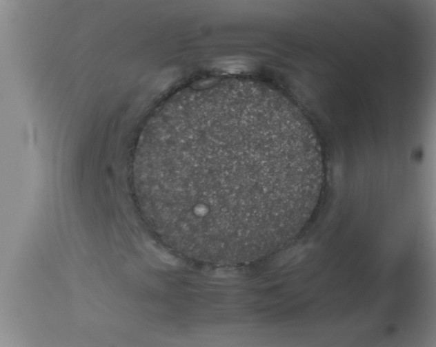 X0000112531393200909071347