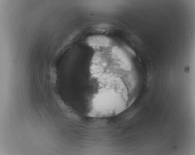 X0000112531394200909071347