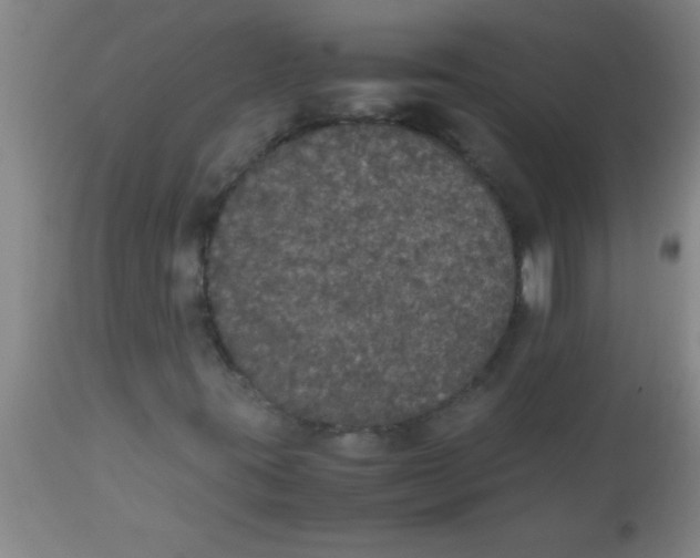 X0000112531395200909071347