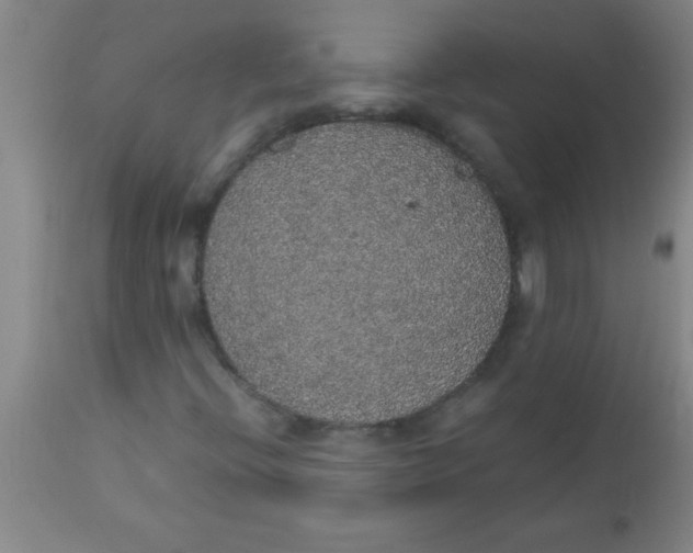 X0000112531396200909071347