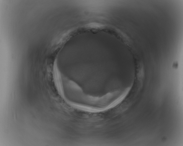 X0000112531397200909071347