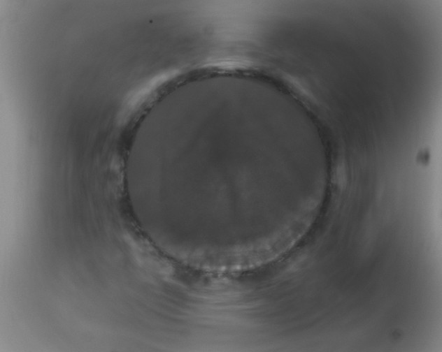 X0000112531398200909071347