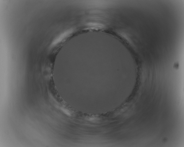X0000112531399200909071347