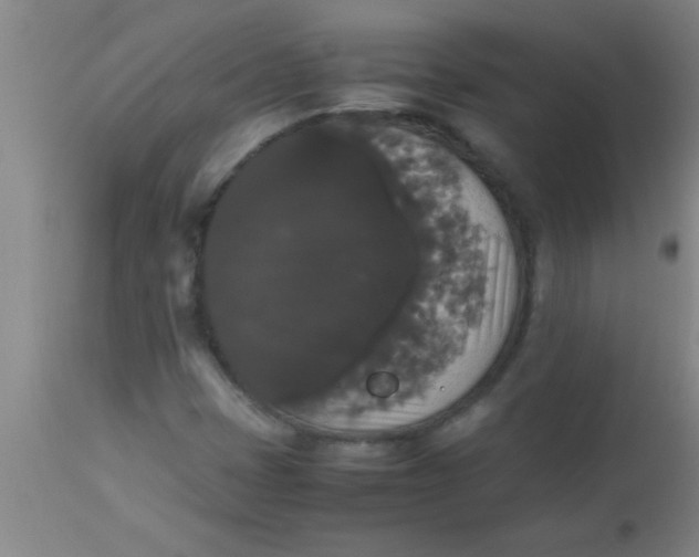 X0000112531401200909071347