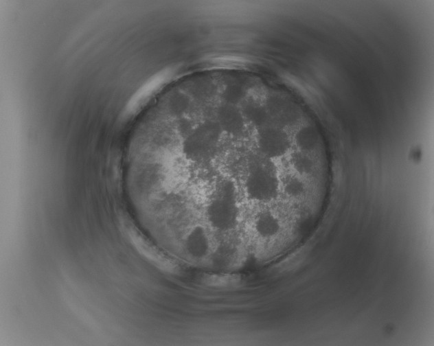X0000112531403200909071347
