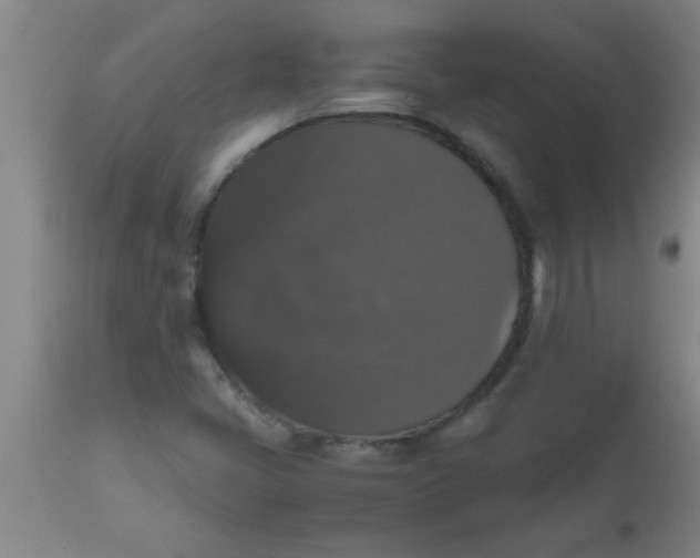 X0000112531405200909071347