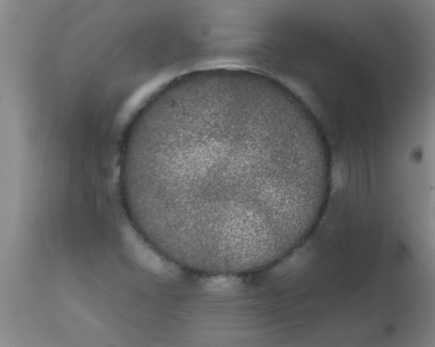 X0000112531406200909071347