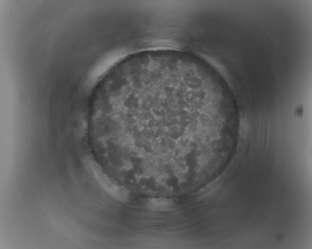 X0000112531407200909071347