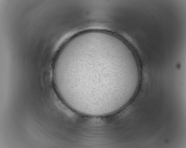 X0000112531408200909071347