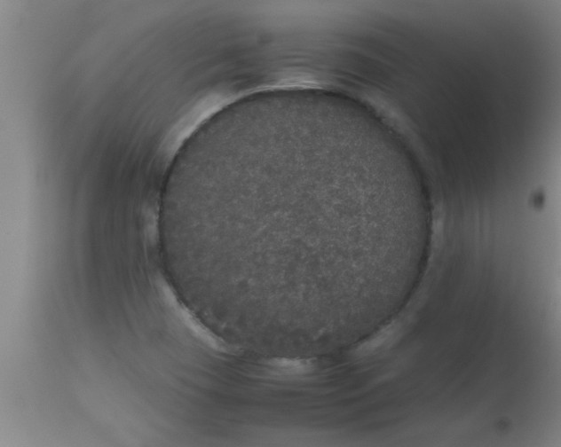 X0000112531409200909071347