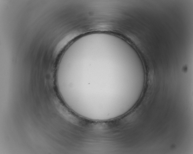 X0000112531410200909071347
