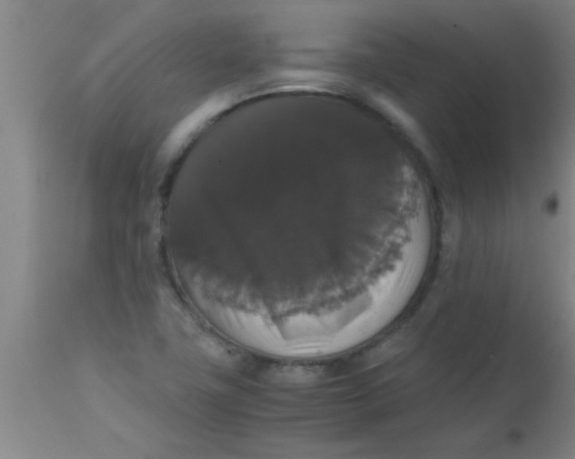 X0000112531411200909071347