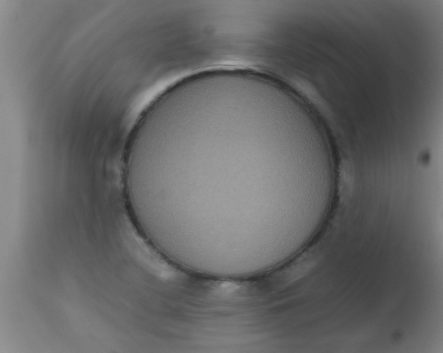 X0000112531412200909071347