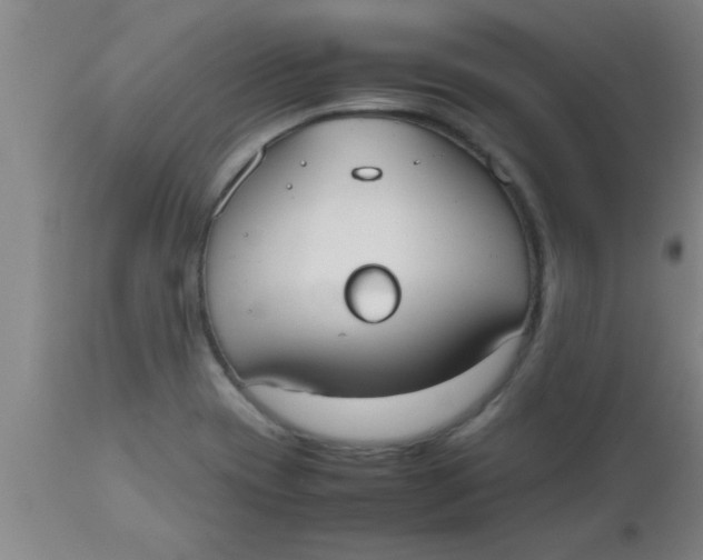 X0000112531417200909071347