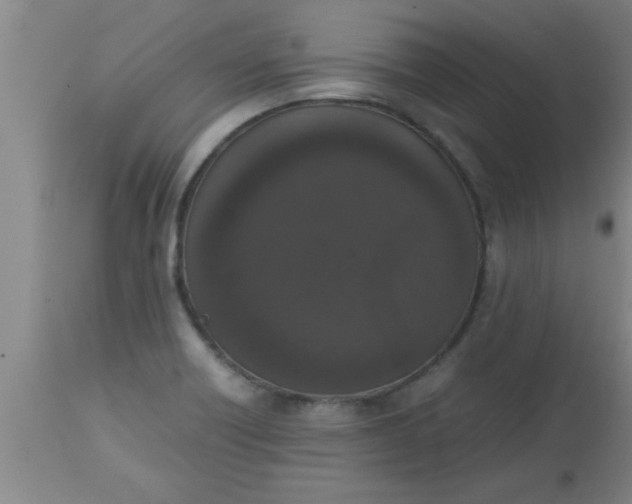 X0000112531418200909071347