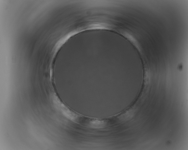 X0000112531419200909071347