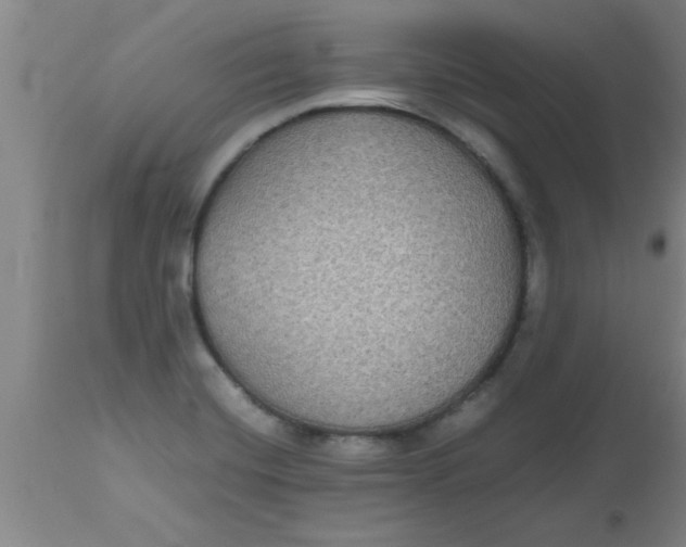 X0000112531420200909071347