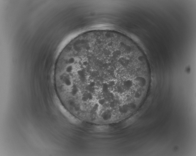 X0000112531421200909071347