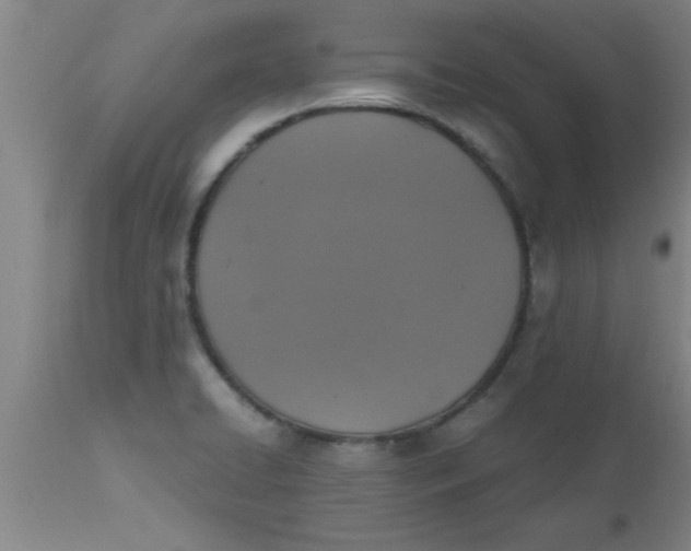 X0000112531422200909071347