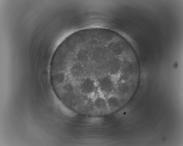 X0000112531423200909071347