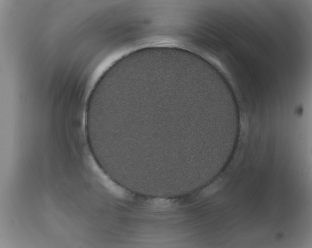 X0000112531424200909071347