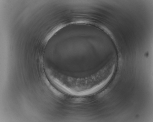 X0000112531425200909071347