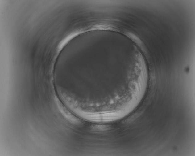 X0000112531427200909071347