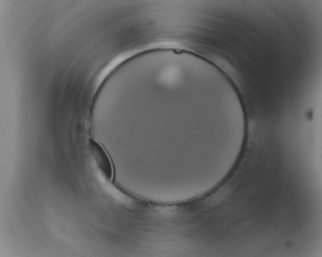 X0000112531428200909071347