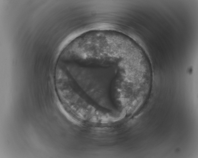 X0000112531429200909071347