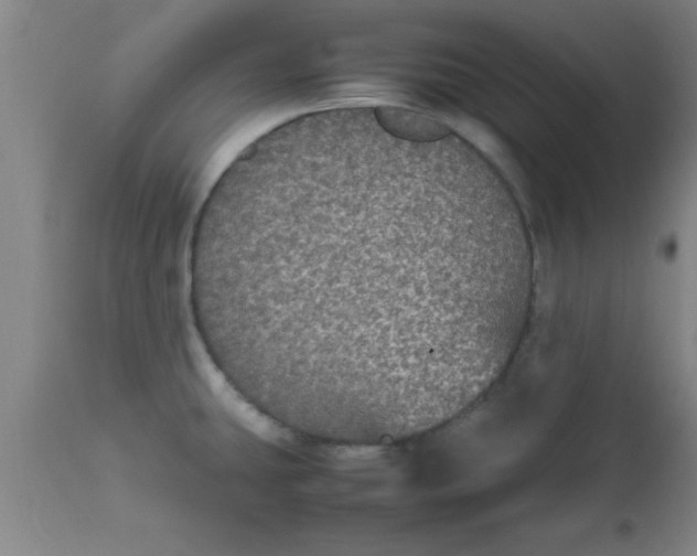 X0000112531431200909071347