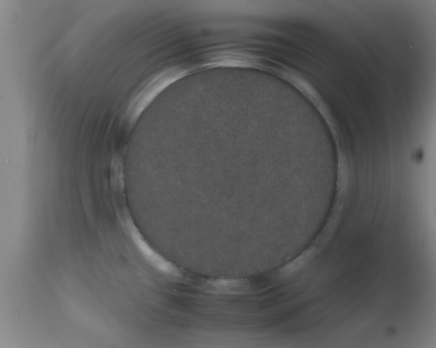 X0000112531433200909071347