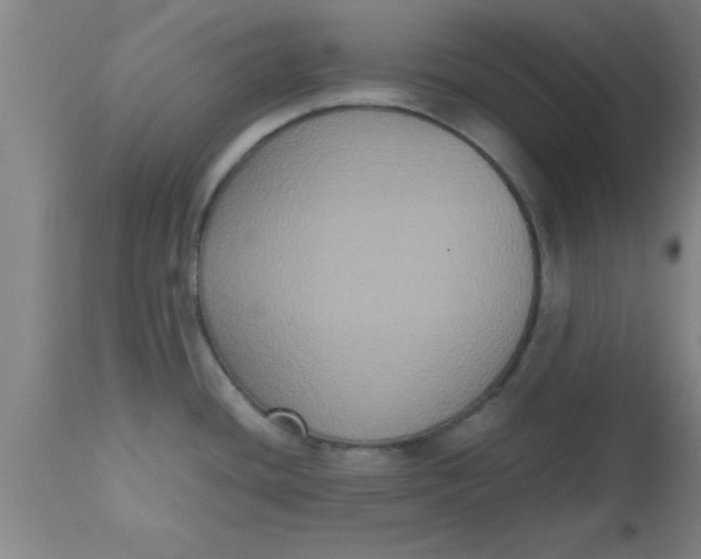 X0000112531436200909071347