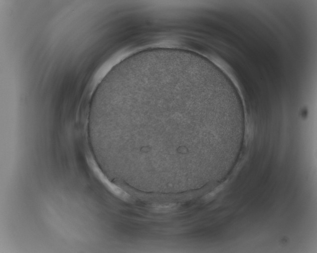 X0000112531437200909071347