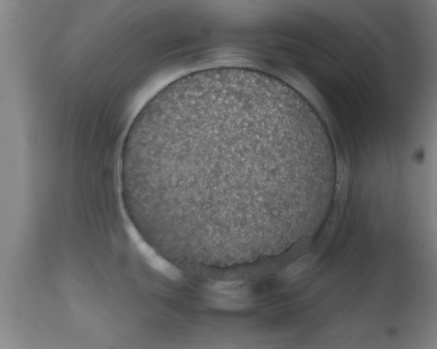 X0000112531439200909071347