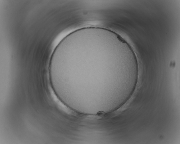 X0000112531440200909071347