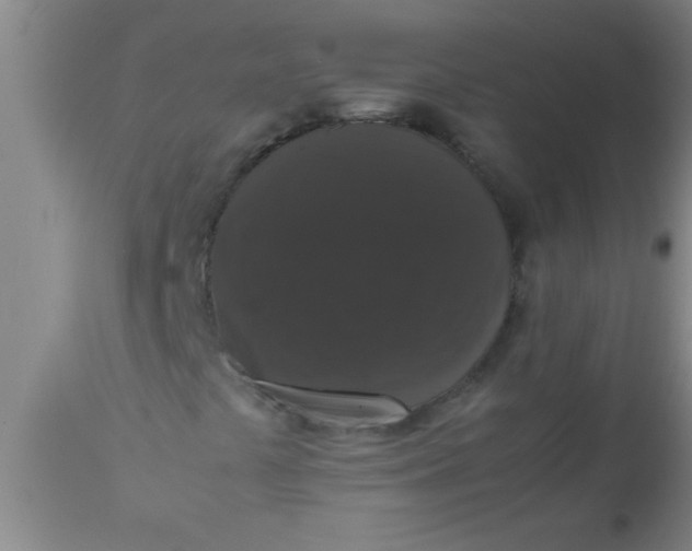 X0000112531441200909071347