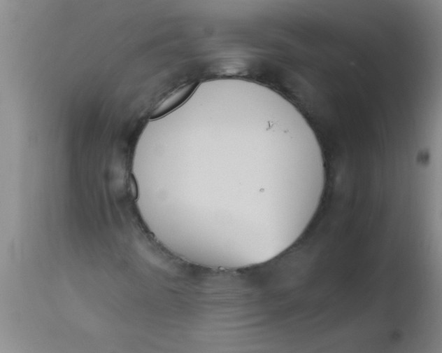 X0000112531442200909071347