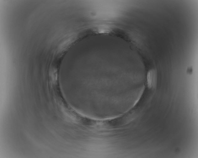 X0000112531443200909071346