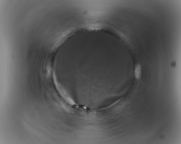 X0000112531444200909071346
