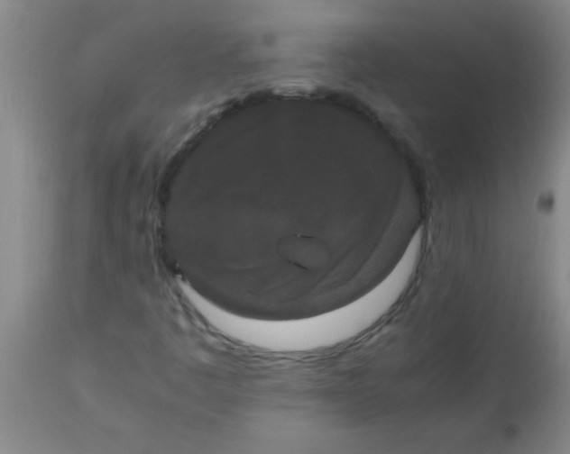 X0000112531445200909071346