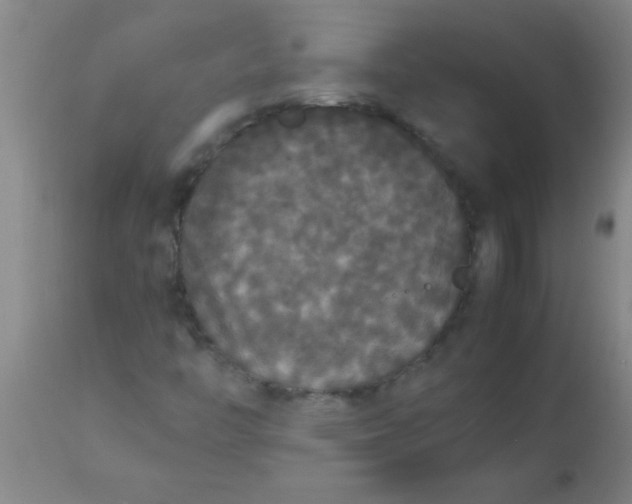X0000112531446200909071346
