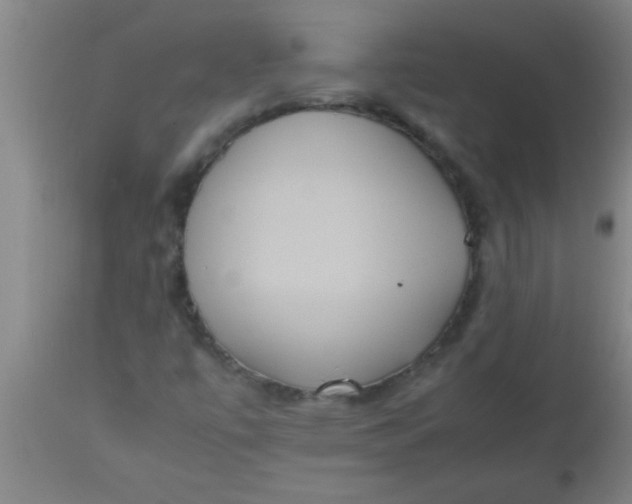 X0000112531447200909071346