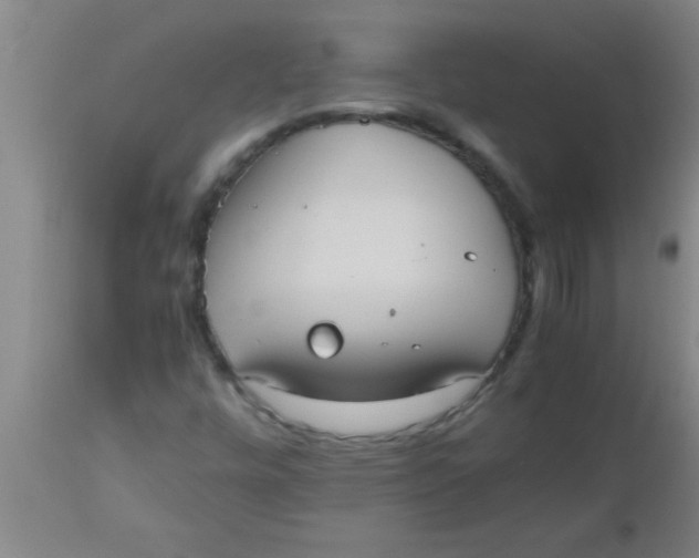 X0000112531448200909071346
